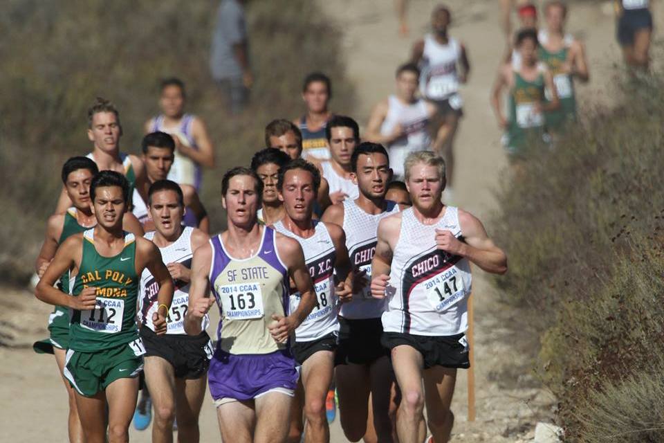 The men's lead pack, composed mostly of runners from Chico & Ponoma, heading into the conference race's closing miles.