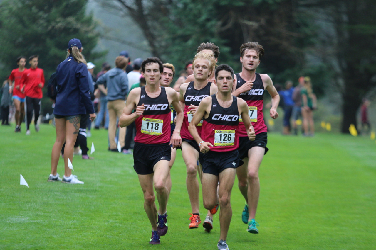 The 'Cats 5-8 runners in the later stages (L-R) Wyatt Baxter, Jack Emanuel, Raymond Lopez, and Rory Abberton