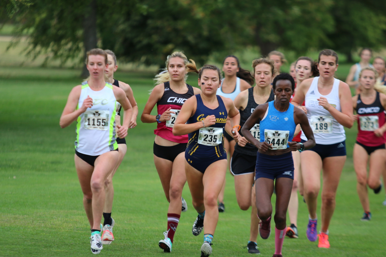 Angelica Salas ran her first race in the Chico Uniform on Saturday and finished as the 'Cats top scorer in the Open race.