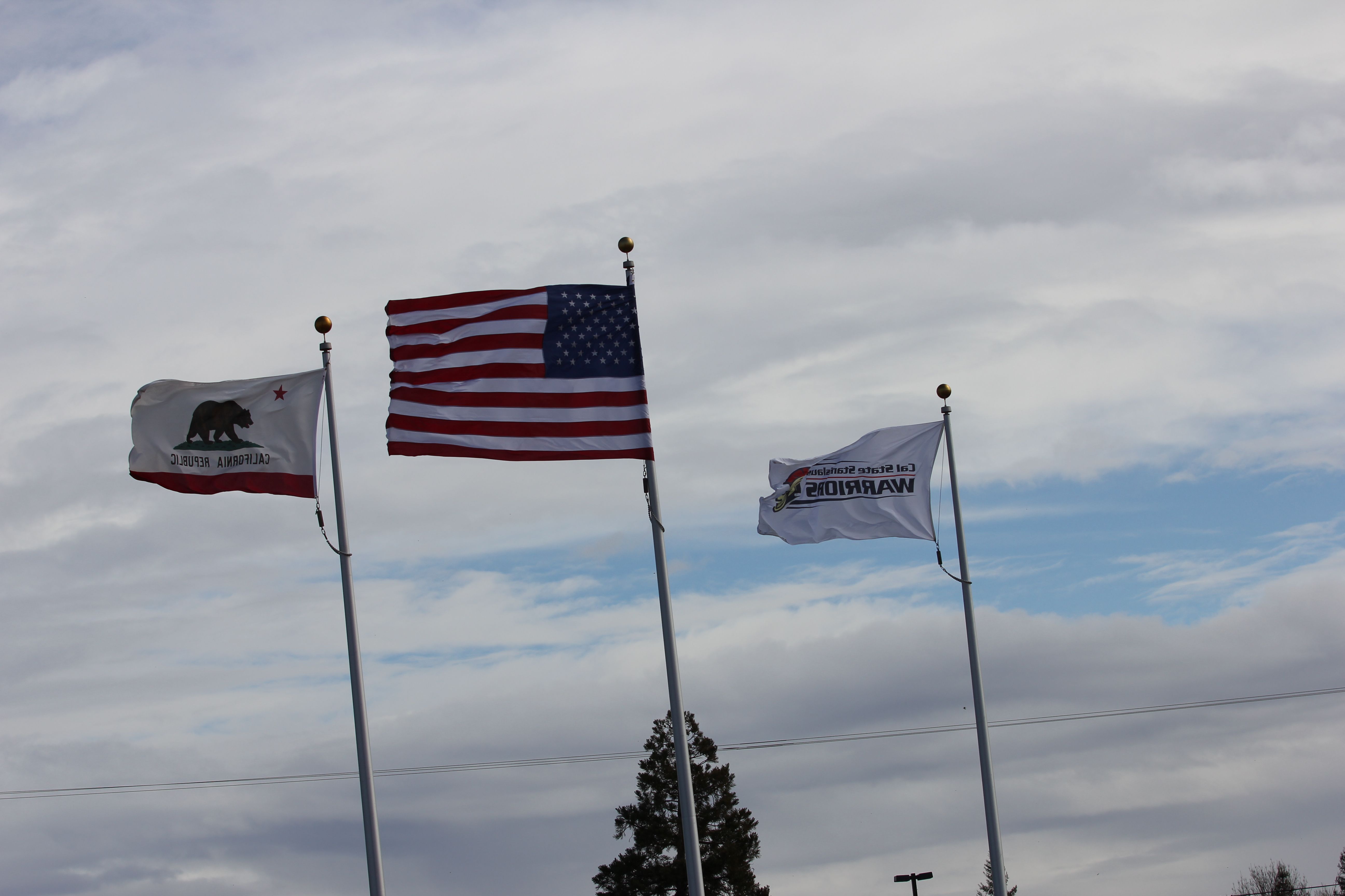 The flags tell the story of what the athletes dealt with all day. Another indication of how hard it was blowing was that meet officials had to hold the cross bar on with poles during the Pole Vault competition because the winds kept blowing the bar off.