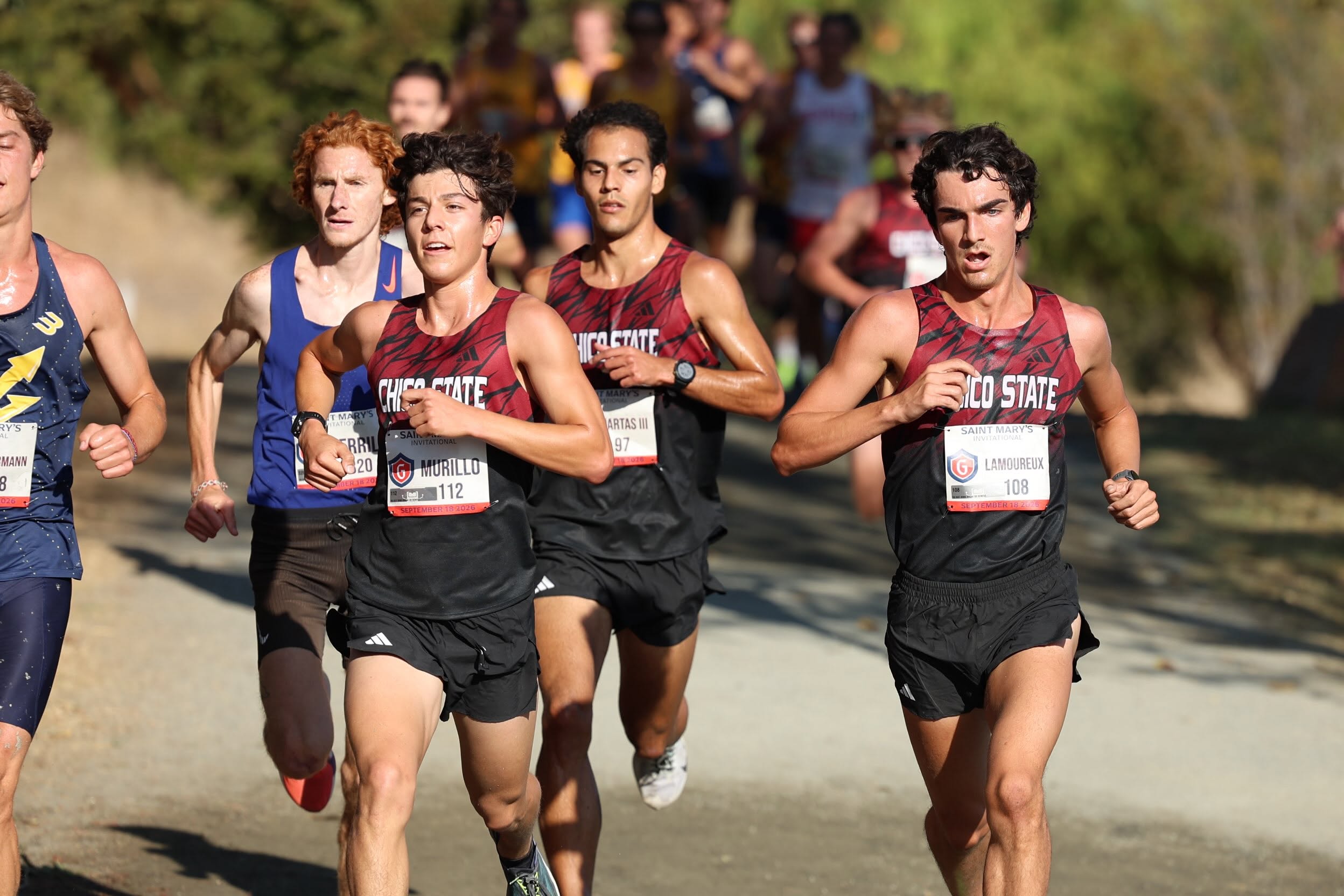 Wildcat freshman Alijah Murillo (112) proves he's the real deal finishing fifth overall and second on the team at the St. Mary's Invitational. Chico State veterans Sergio Cuartas (97) and Alex Lamoureux (108) finish a few seconds behind in placing 7th and 8th respectively